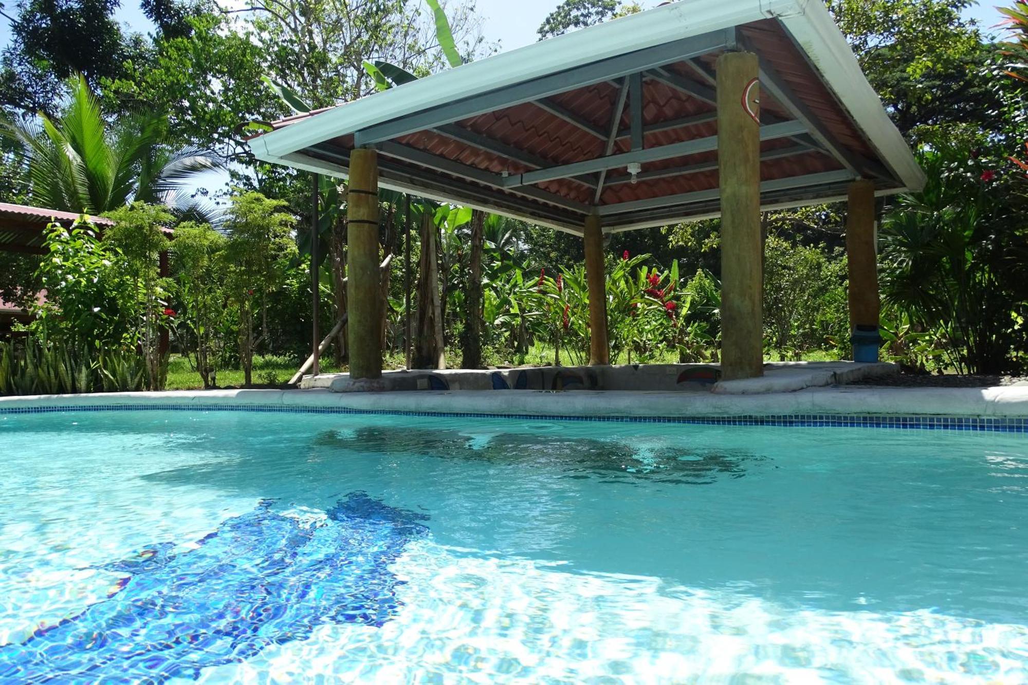 Cabinas Los Tucanes カウイータ エクステリア 写真